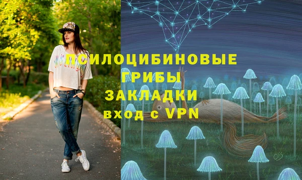 молекула духа Алексеевка