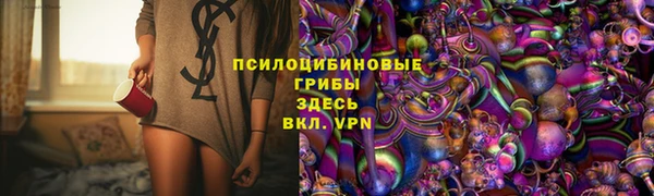 экстази Арсеньев