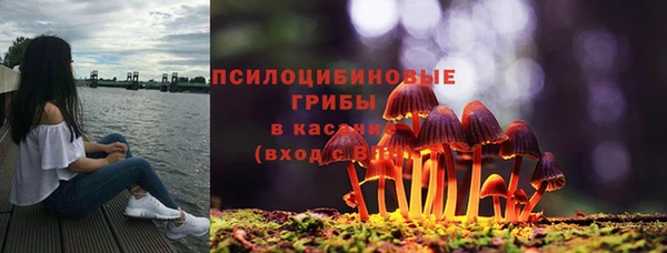 молекула духа Алексеевка