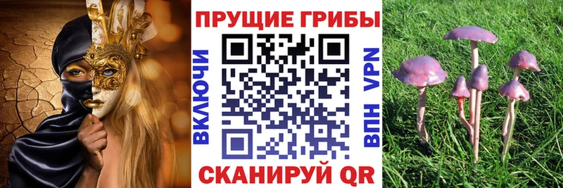 blacksprut сайт  Верхняя Тура  Псилоцибиновые грибы Psilocybine cubensis  магазин продажи  